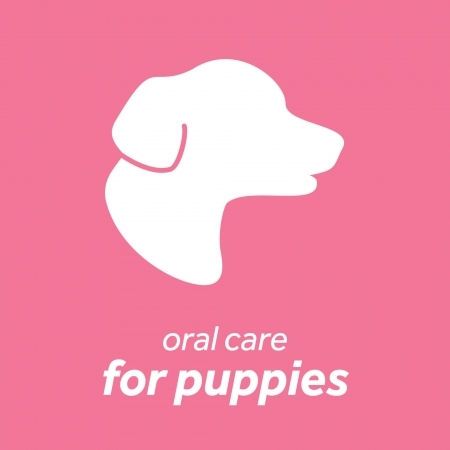 TROPICLEAN – Традиционно почистване на зъбите Puppies